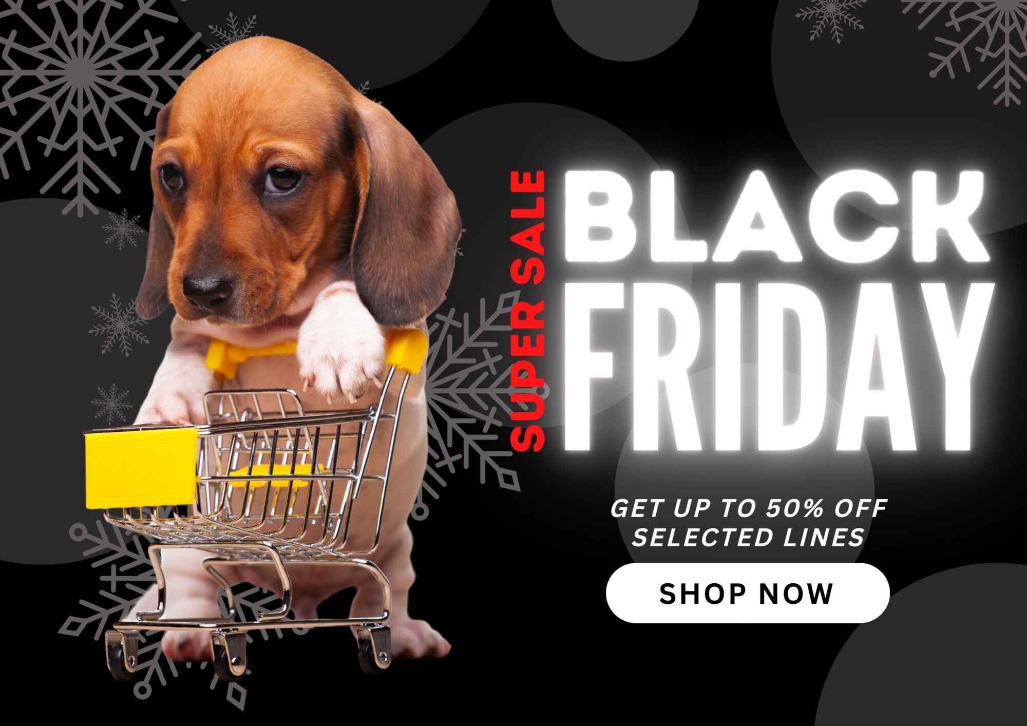 Black Friday Offers Mountain Dog Ltd