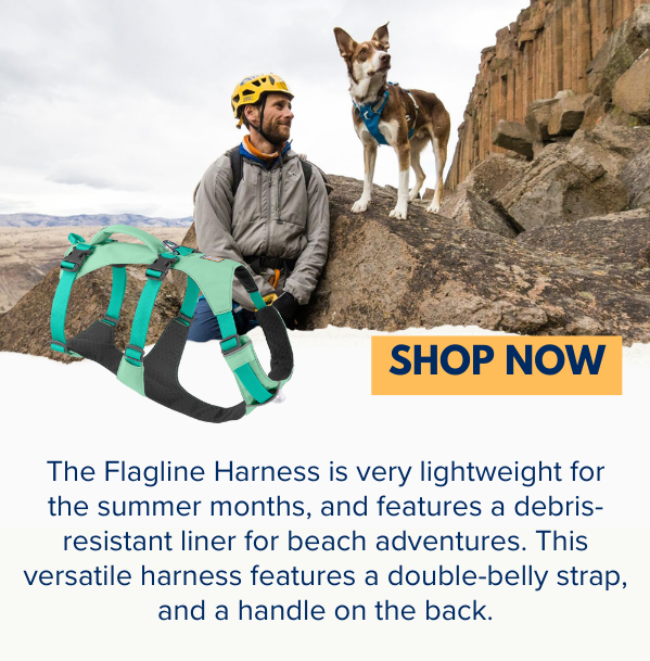 Ruffwear Savings 10 Off Mountain Dog Ltd